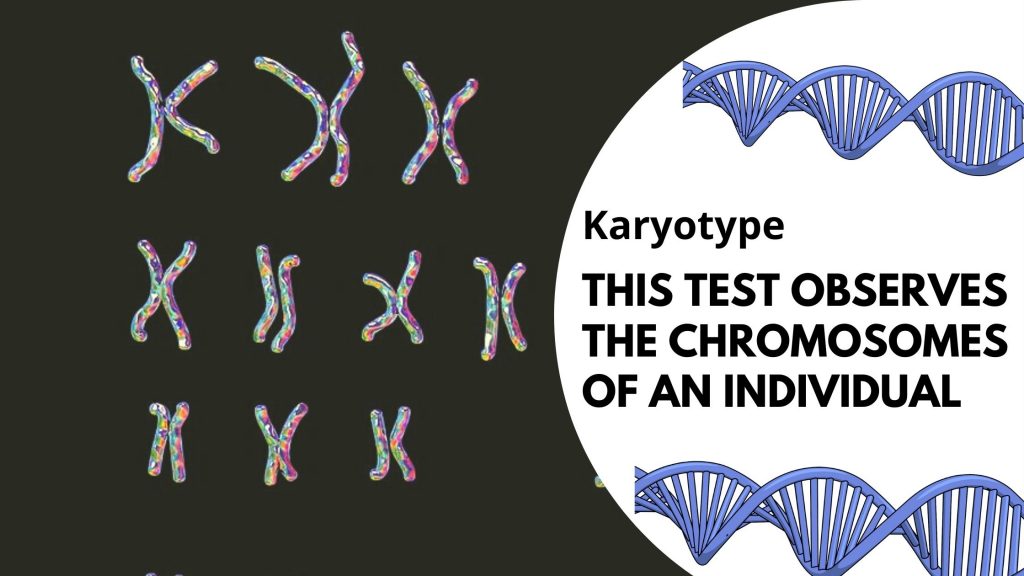 Karyotype genetic testing
