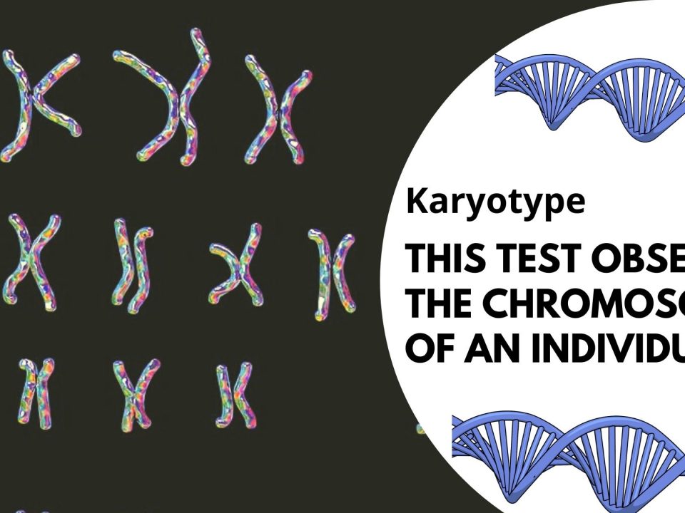 Karyotype genetic testing