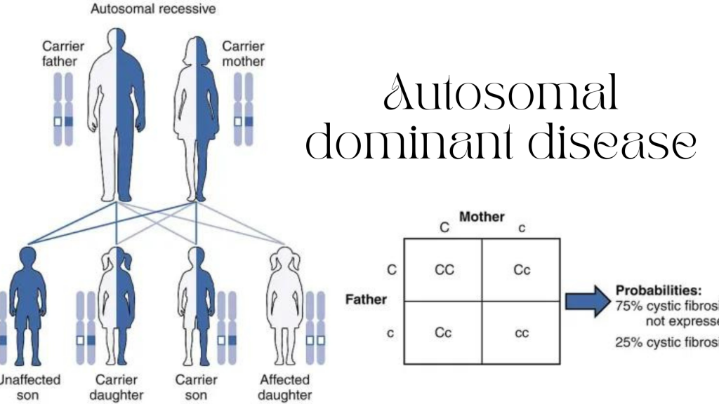 Autosomal DNA Test