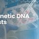 Genetic DNA test