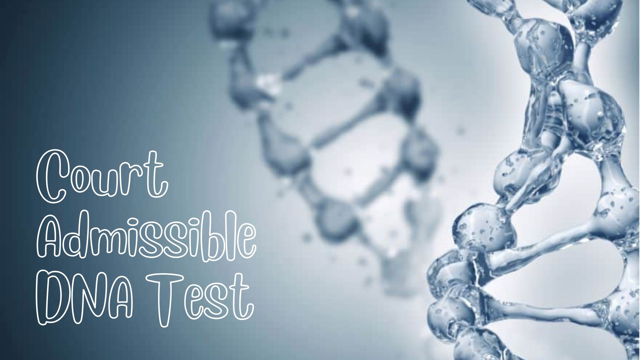 Court Admissible DNA Test: 4 Types Legal DNA Test DNA Trending
