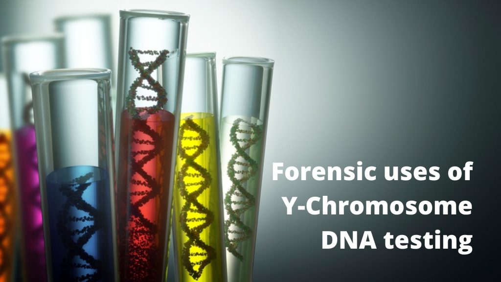 Y-Chromosome DNA
