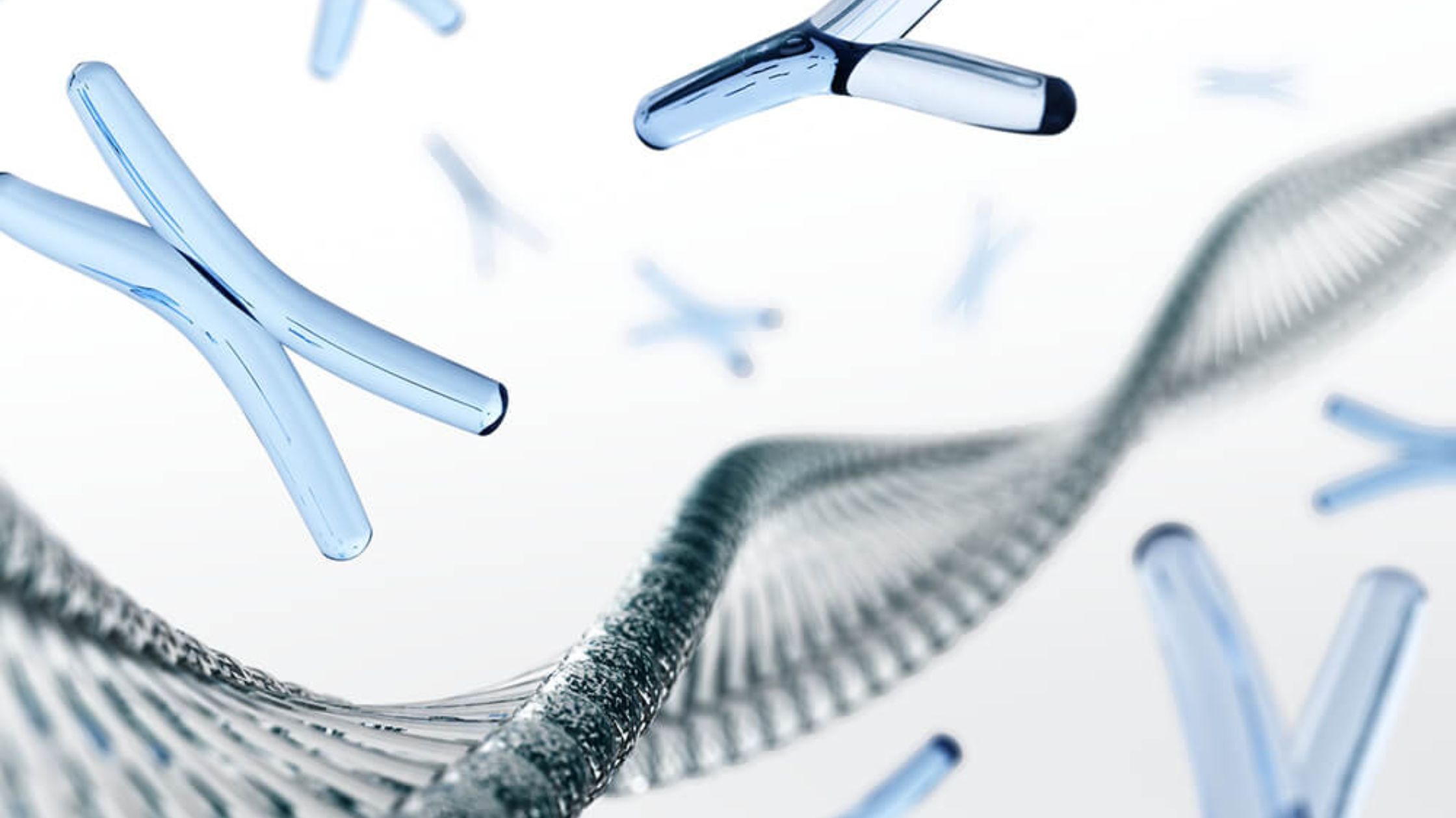 Y-Chromosome DNA Testing